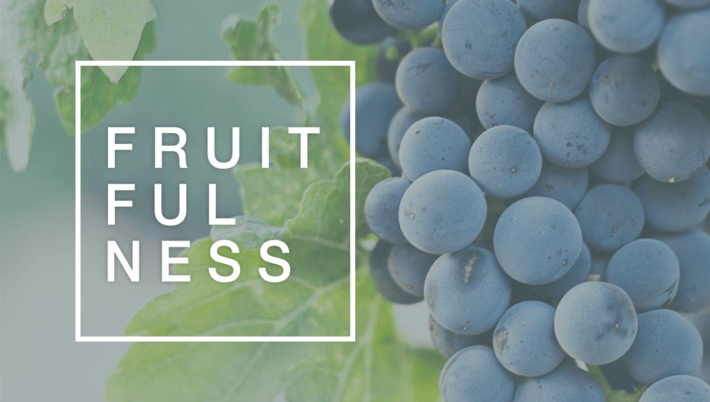 A TEACHERble Moment on&nbsp;Fruitfulness