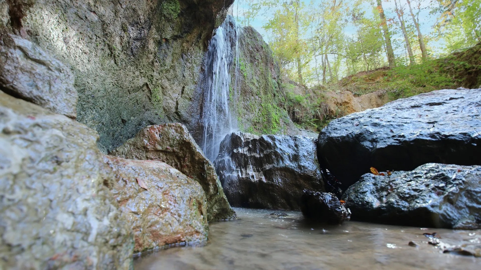 A TEACHERble Mississippi Moment